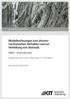 Alexandra Pudewills - Modellrechnungen zum thermomechanischen Verhalten und zur Verheilung von Steinsalz: BMWi - Verbundprojekt Ergebnisbericht zum Teilprojekt 3 - 02E10840