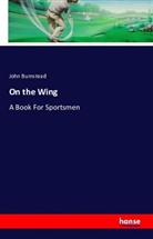 John Bumstead - On the Wing