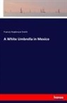 Francis Hopkinson Smith - A White Umbrella in Mexico