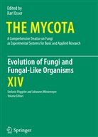 Karl Esser, Paul A. Lemke, Stefani Pöggeler, Stefanie Pöggeler, Wöstemeyer, Wöstemeyer... - The Mycota - 14: Evolution of Fungi and Fungal-Like Organisms