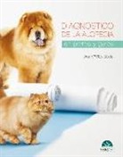 Ana María Ríos Boeta - Diagnóstico de la alopecia en perros y gatos