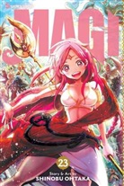 Geoff Johns, Shinobu Ohtaka, Shinobu Ohtaka, John Zuur Platten - Magi 23