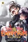 Paul Hornschemeier, Rebecca, Yoshiaki Sukeno, Yoshiaki Sukeno - Twin star exorcists vol 8