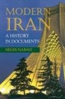 Negin Nabavi - Modern Iran