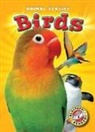 Kari Schuetz, Kari Schuetz - Birds