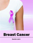 Sandra Lekin - Breast Cancer