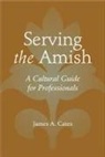 James A Cates, James A. Cates, James A. (Cates &amp; Associates Cates - Serving the Amish