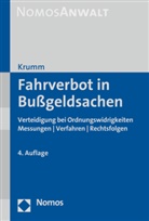 Carsten Krumm - Fahrverbot in Bußgeldsachen