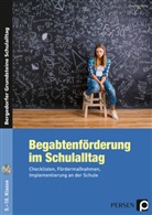 Stephan Petry - Begabtenförderung im Schulalltag, m. 1 CD-ROM