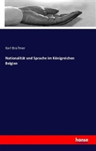 Karl Bra¨mer, Karl Bra¿mer, Karl Bramer, Karl Brämer - Nationalität und Sprache im Königreichen Belgien