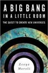 Zeeya Merali - A Big Bang in a Little Room