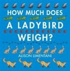 Alison Limentani - How Much Does a Ladybird Weigh?