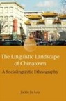 Jackie Lou, Jackie Jia Lou - The Linguistic Landscape of Chinatown
