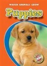 Colleen Sexton, Colleen Sexton - Puppies