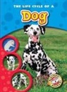 Colleen Sexton, Colleen Sexton - The Life Cycle of a Dog