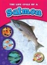 Colleen Sexton, Colleen Sexton - The Life Cycle of a Salmon