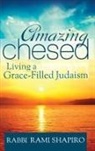 Rabbi Rami Shapiro, Rami Shapiro - Amazing Chesed