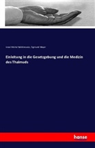 Sigmund Mayer, Israel M. Rabbinowicz, Israel Miche Rabbinowicz, Israel Michel Rabbinowicz - Einleitung in die Gesetzgebung und die Medizin des Thalmuds