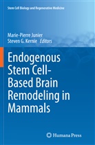 G Kernie, G Kernie, Marie-Pierr Junier, Marie-Pierre Junier, Steven G. Kernie - Endogenous Stem Cell-Based Brain Remodeling in Mammals
