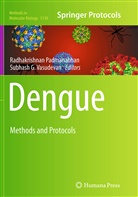 G Vasudevan, G Vasudevan, Radhakrishna Padmanabhan, Radhakrishnan Padmanabhan, Subhash G. Vasudevan - Dengue