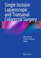 Conor P Delaney, Conor P. Delaney, Wai Lun Law, Wa Lun Law, Wai Lun Law, P Delaney... - Single Incision Laparoscopic and Transanal Colorectal Surgery