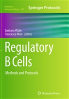 MION, Mion, Francesca Mion, Gaetan Vitale, Gaetano Vitale - Regulatory B Cells