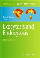 Andre I Ivanov, Andrei I Ivanov, Andrei I. Ivanov - Exocytosis and Endocytosis