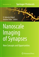 Valentin Nagerl, U. Valentin Nägerl, Valentin Nägerl, Triller, Triller, Antoine Triller... - Nanoscale Imaging of Synapses