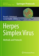 Russell J. Diefenbach, Fraefel, Cornel Fraefel, Russel J Diefenbach - Herpes Simplex Virus