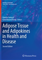Braunschweig, Braunschweig, Carol Braunschweig, Giamil Fantuzzi, Giamila Fantuzzi - Adipose Tissue and Adipokines in Health and Disease