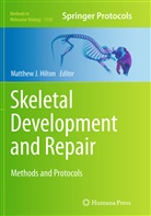 Matthew J. Hilton, Matthe J Hilton, Matthew J Hilton - Skeletal Development and Repair