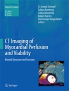Fabia Bamberg, Fabian Bamberg, Gorka Bastarrika, Balazs Ruzsics, Balazs Ruzsics et al, U. Joseph Schoepf... - CT Imaging of Myocardial Perfusion and Viability