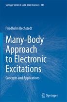 Friedhelm Bechstedt - Many-Body Approach to Electronic Excitations