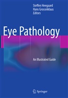 Grossniklaus, Grossniklaus, Hans Grossniklaus, Steffe Heegaard, Steffen Heegaard - Eye Pathology