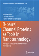 Tamar Dworeck, Tamara Dworeck, Marc Fioroni, Marco Fioroni, F Rodriguez-Ropero, Francisco Rodriguez-Ropero - ß-barrel Channel Proteins as Tools in Nanotechnology