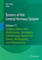 A Hayat, M A Hayat, M. A. Hayat, M.A. Hayat - Tumors of the Central Nervous System - 11: Tumors of the Central Nervous System, Volume 11