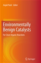 Anjal Patel, Anjali Patel - Environmentally Benign Catalysts