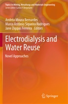 Marc Antônio Siqueira Rodrigues, Marco Antônio Siqueira Rodrigues, Andrea Bernardes, Andréa Moura Bernardes, Marco Antônio Siqueira Rodrigues, Zoppas Ferreira... - Electrodialysis and Water Reuse