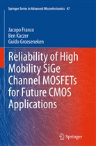 Jacop Franco, Jacopo Franco, Guido Groeseneken, Be Kaczer, Ben Kaczer - Reliability of High Mobility SiGe Channel MOSFETs for Future CMOS Applications