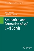 ma, Ma, Dawei Ma, Mar Taillefer, Marc Taillefer - Amination and Formation of sp2 C-N Bonds