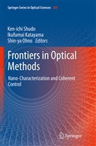 Ikufumu Katayama, Ikufumui Katayama, Shin-Ya Ohno, Ken-ichi Shudo - Frontiers in Optical Methods