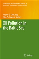 Andre G Kostianoy, Andrey G Kostianoy, Andrey G. Kostianoy, Olga Yu Lavrova, Yu Lavrova, Yu Lavrova - The Handbook of Environmental Chemistry - 27: Oil Pollution in the Baltic Sea