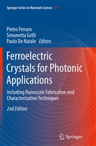 Paolo De Natale, Pietro Ferraro, Simonett Grilli, Simonetta Grilli - Ferroelectric Crystals for Photonic Applications