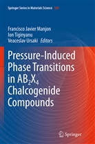 Francisco Javier Manjon, Io Tiginyanu, Ion Tiginyanu, Veaceslav Ursaki - Pressure-Induced Phase Transitions in AB2X4 Chalcogenide Compounds