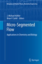 Brian P. Cahill, J. Michael Köhler, Michael Köhler, J Michael Köhler, P Cahill, P Cahill - Micro-Segmented Flow