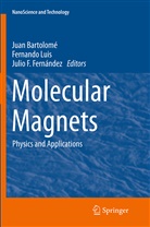 Juan Bartolomé, Julio F Fernández, Julio F. Fernández, Sanjoaquin Juan Bartolome, Fernand Luis, Fernando Luis - Molecular Magnets