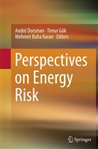 Mehmet Baha Karan, André Dorsman, Timu Gök, Timur Gök, Mehmet Baha Karan - Perspectives on Energy Risk