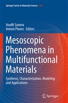 Planes, Planes, Antoni Planes, Avad Saxena, Avadh Saxena - Mesoscopic Phenomena in Multifunctional Materials