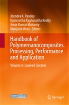 Am Kumar Mohanty et al, Manjusri Misra, Amar K. Mohanty, Amar Kumar Mohanty, Jitendra K. Pandey, Kummeth Raghunatha Reddy... - Handbook of Polymernanocomposites. Processing, Performance and Application