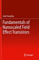 Amit Chaudhry - Fundamentals of Nanoscaled Field Effect Transistors